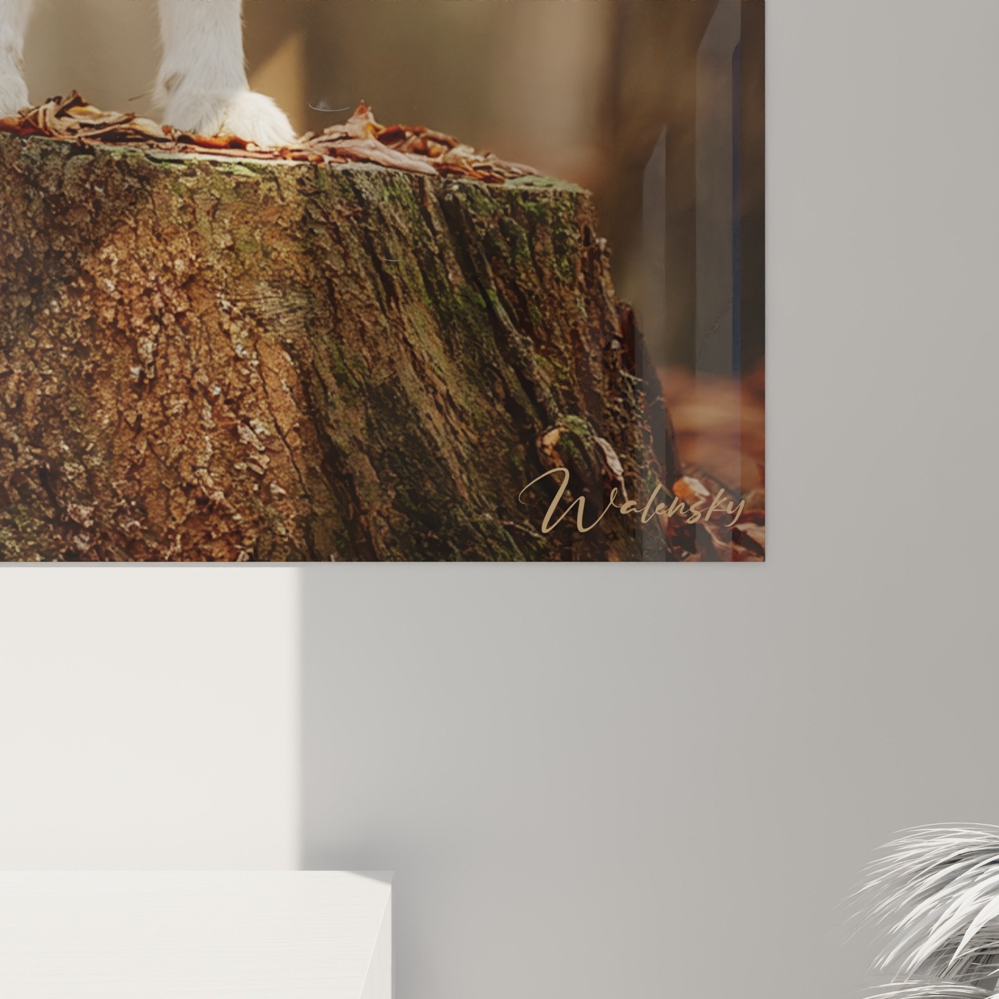 Vue ensemble tableau Malamute Alaska tronc arbre atmosphere forestiere automnale decoration murale