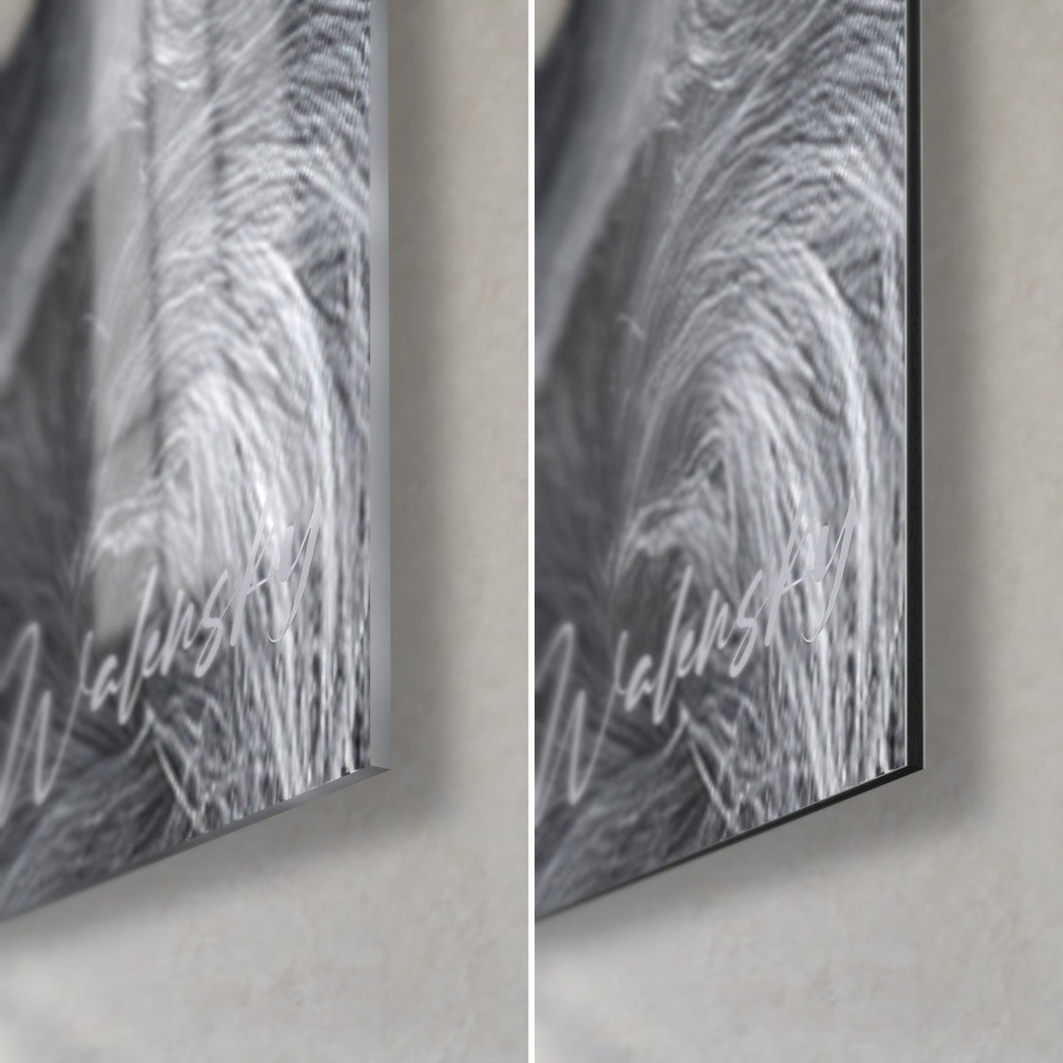 Tableau chien barbu gris, poils blancs en gros plan sur verre brillant et alu Dibond mat noir, tranche fine de 3 mm en coin bas droit