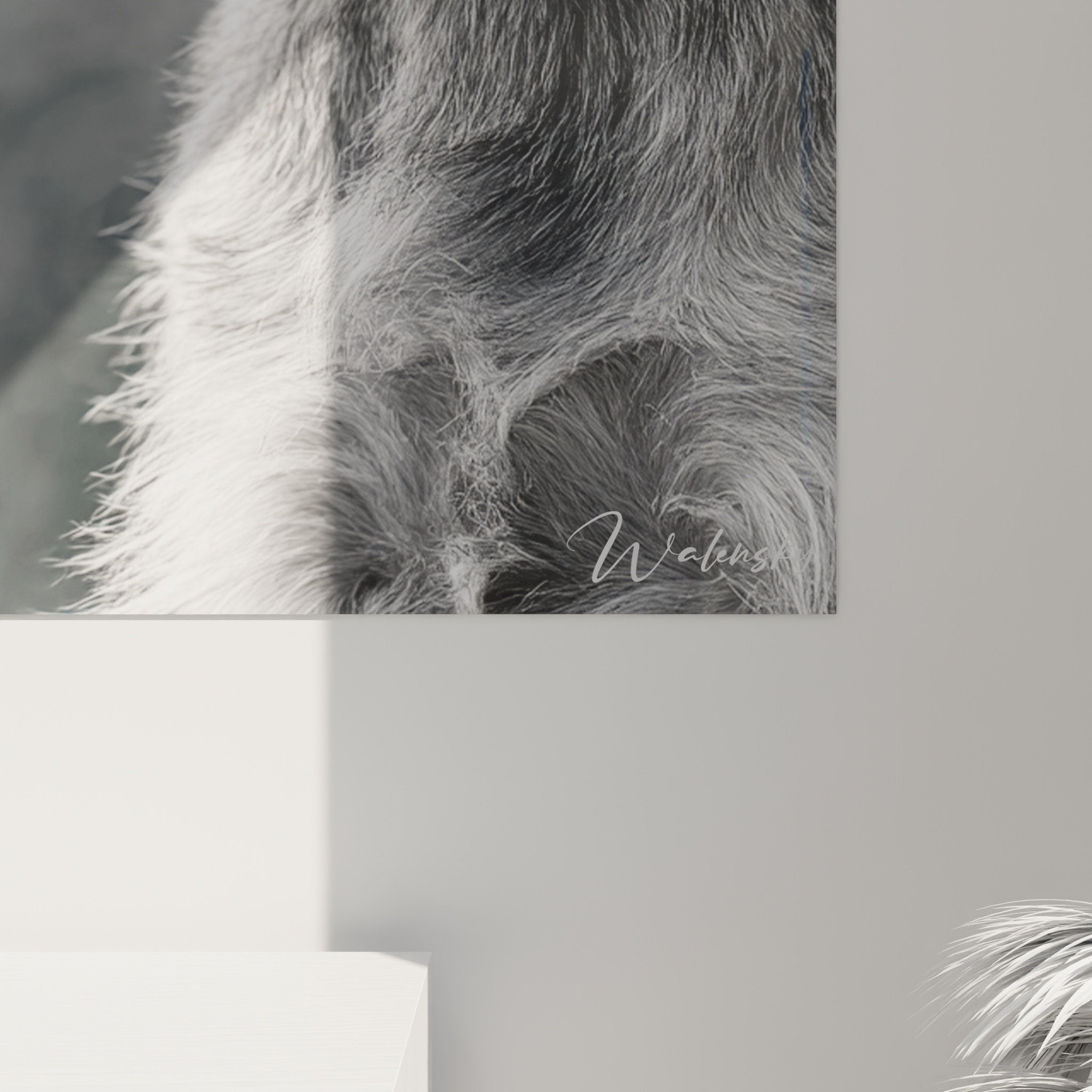 Vue ensemble tableau schnauzer gris portrait mural decoration interieur moderne noir blanc