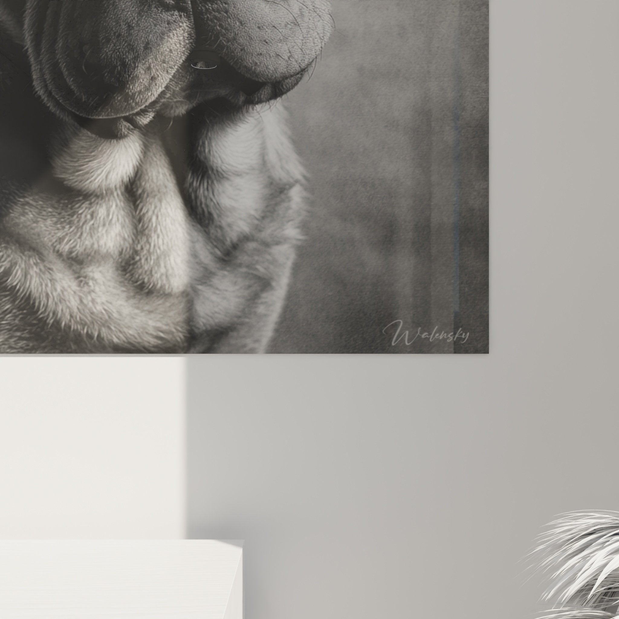 Vue ensemble tableau Shar Pei noir blanc décoration murale intérieur moderne art animalier contemporain élégant
