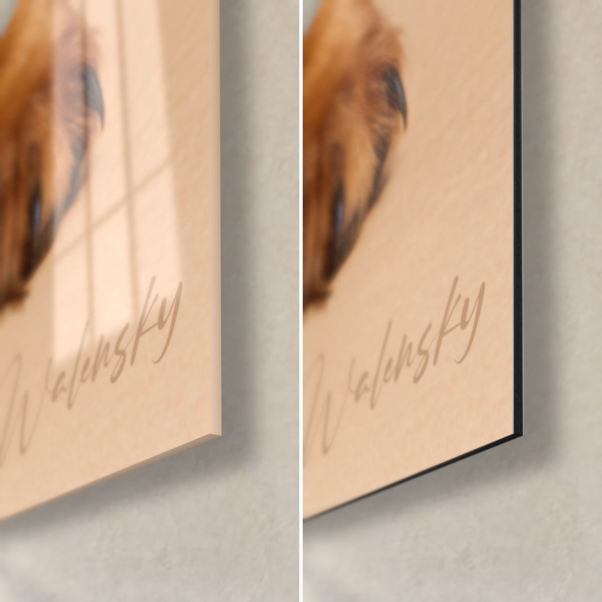 Cuadro cachorro de teckel, esquina inferior derecha: cristal acrílico brillante a la izquierda, aluminio Dibond mate beige a la derecha, borde negro
