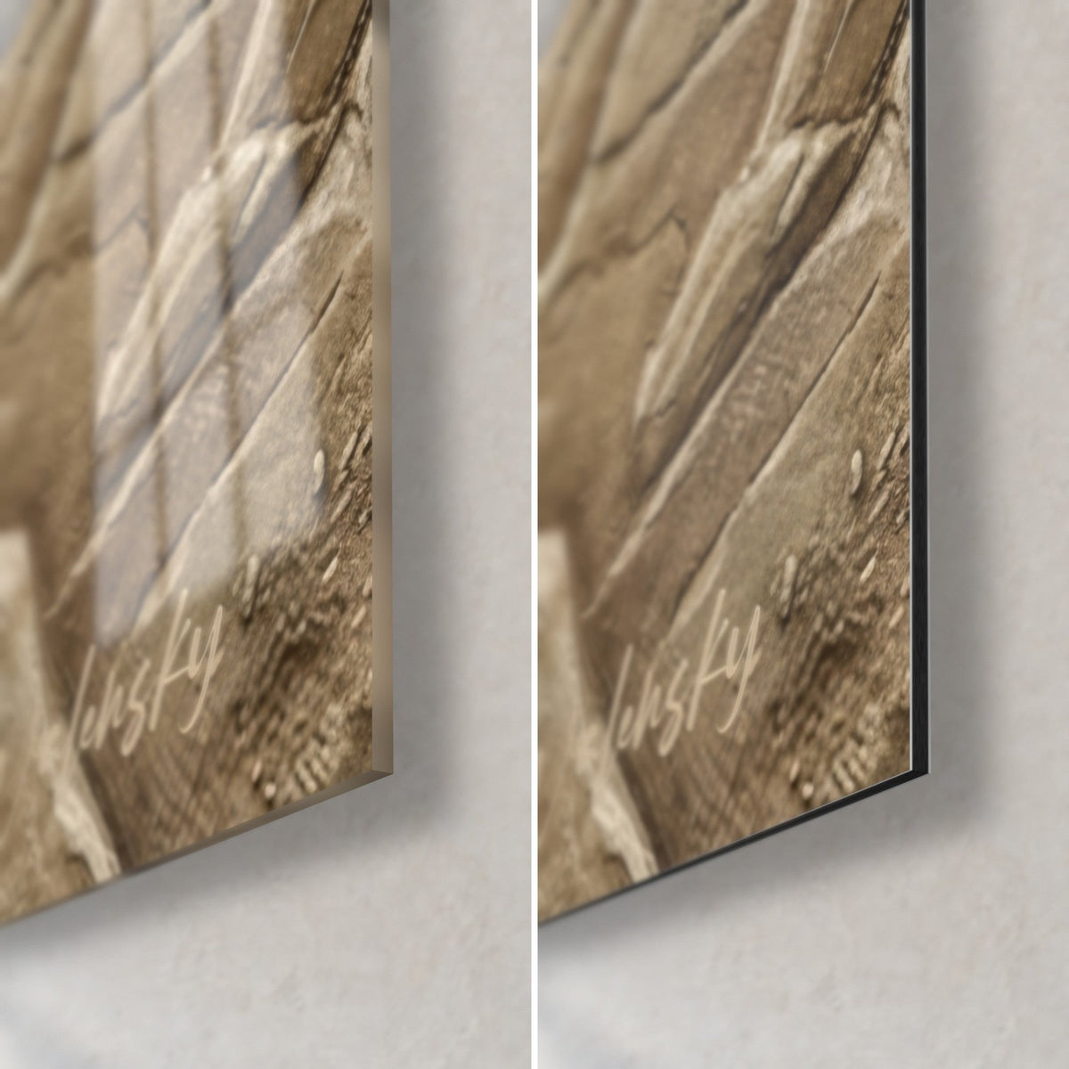 Tableau oiseau charognard en relief minéral, plumes beige et brun doré, coin bas droit : verre brillant à gauche, Dibond mat à droite