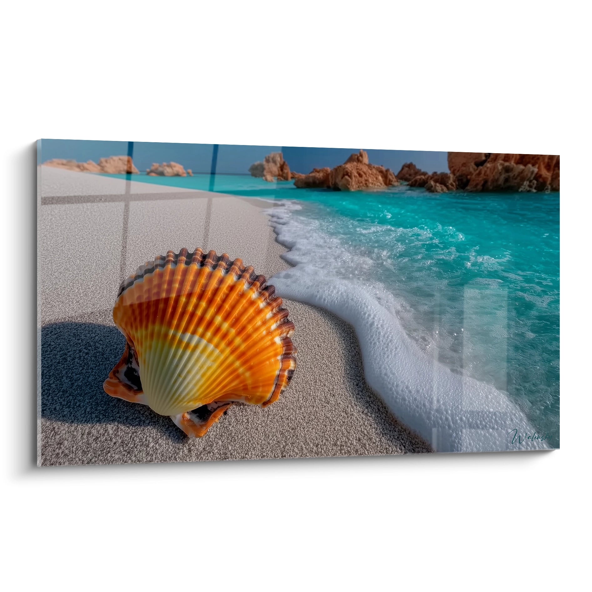 Walensky tableau coquillage décoration murale avec coquillage orange sur plage de sable fin et eau turquoise