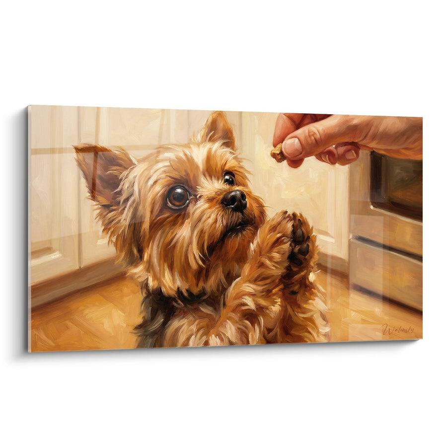 Tableau Yorkshire Terrier Recevant une Friandise dans une Cuisine Chaleureuse - Moment de Complicité - Edition Yorkshire Terrier