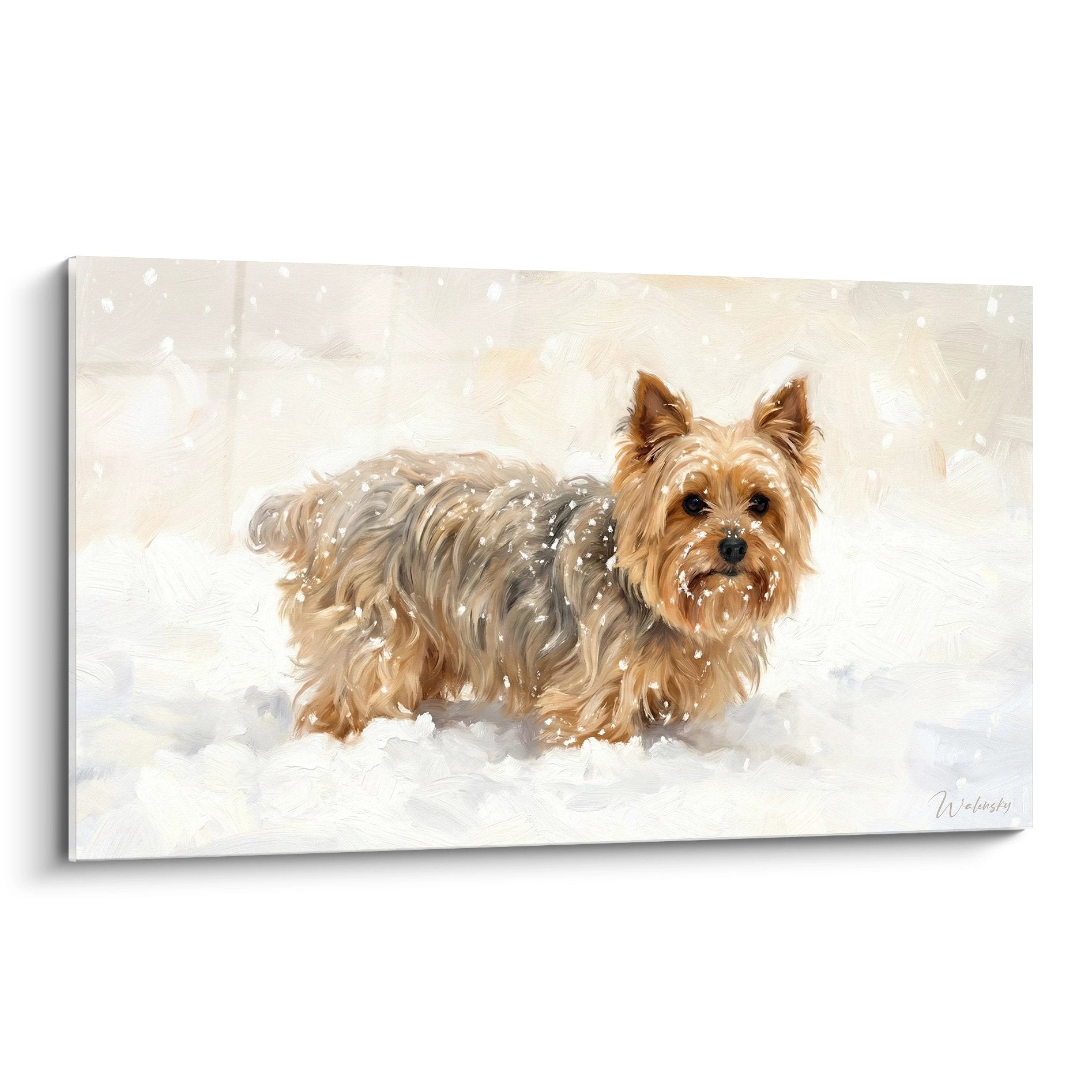 Yorkshire Terrier dans la neige avec flocons tombants, pelage doré et caramel sur fond hivernal blanc