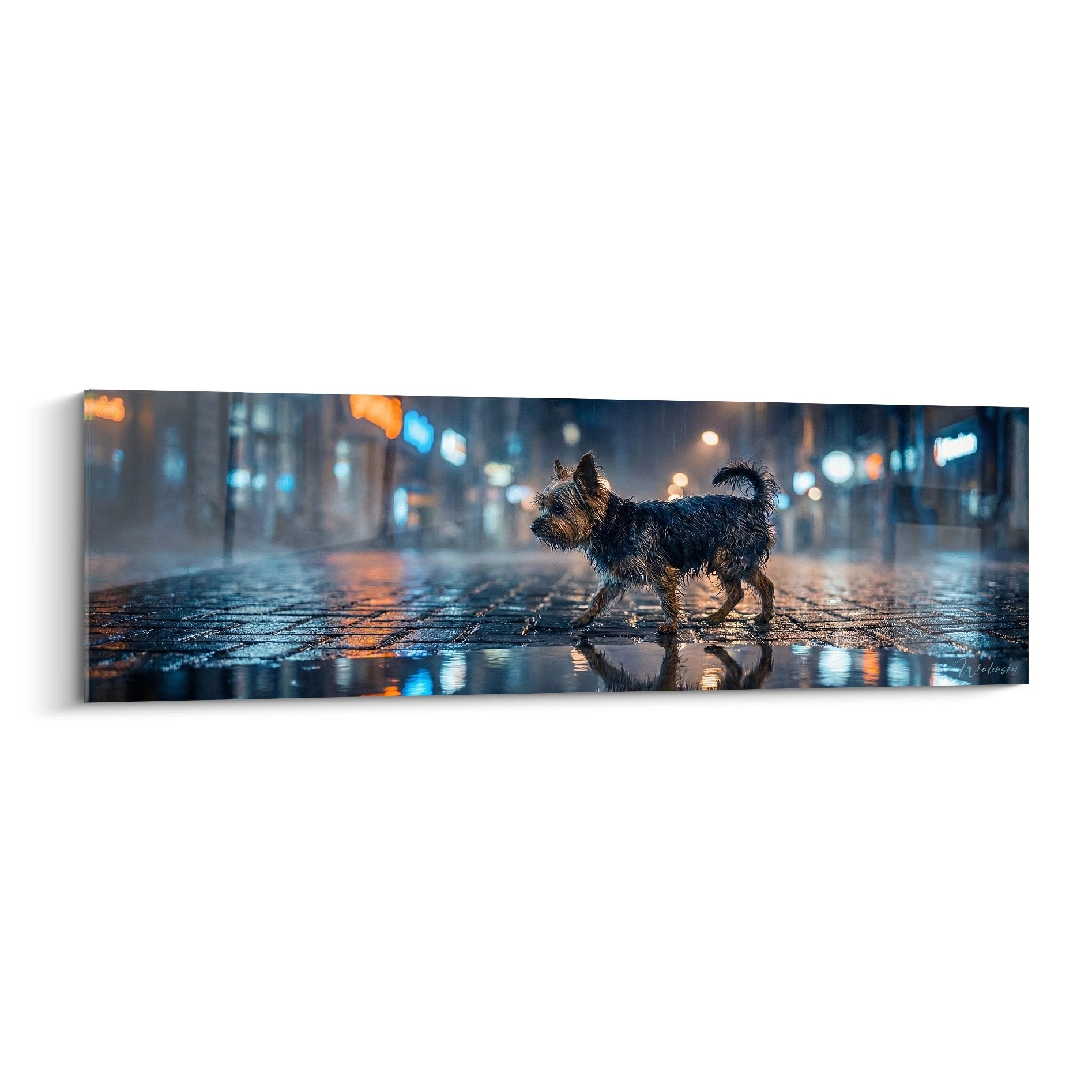 Yorkshire Terrier marchant sur pavés mouillés la nuit avec reflets dorés des éclairages urbains